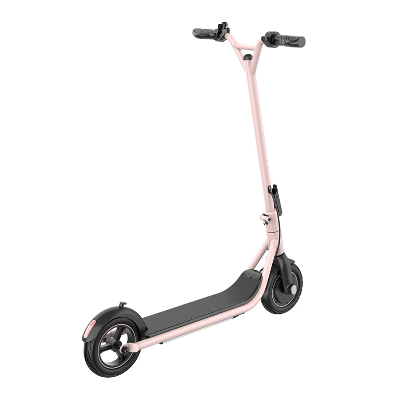 Cheap Electric Scooter