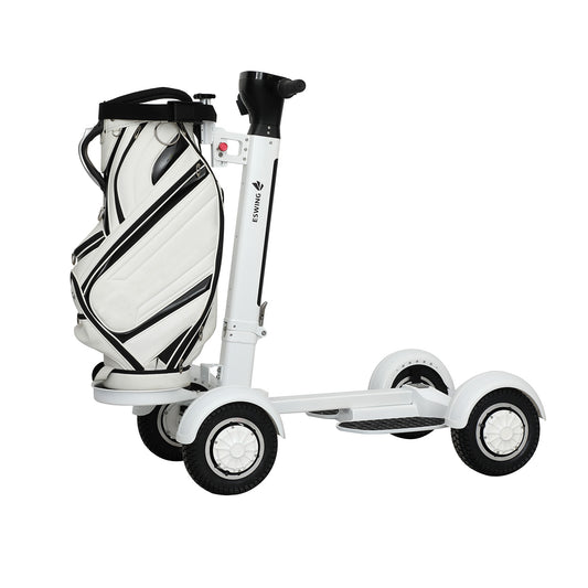 10 Inch High Quality 4 Wheel Golf Board Electric Scooter