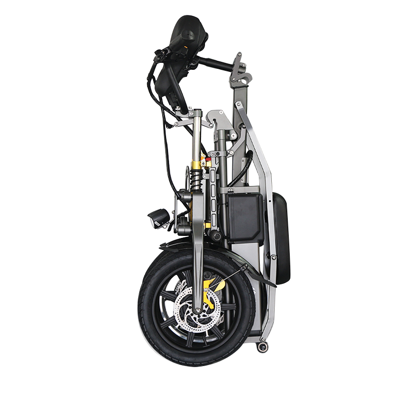 YX-06-001 Double Front Wheels Adults E-Scooters